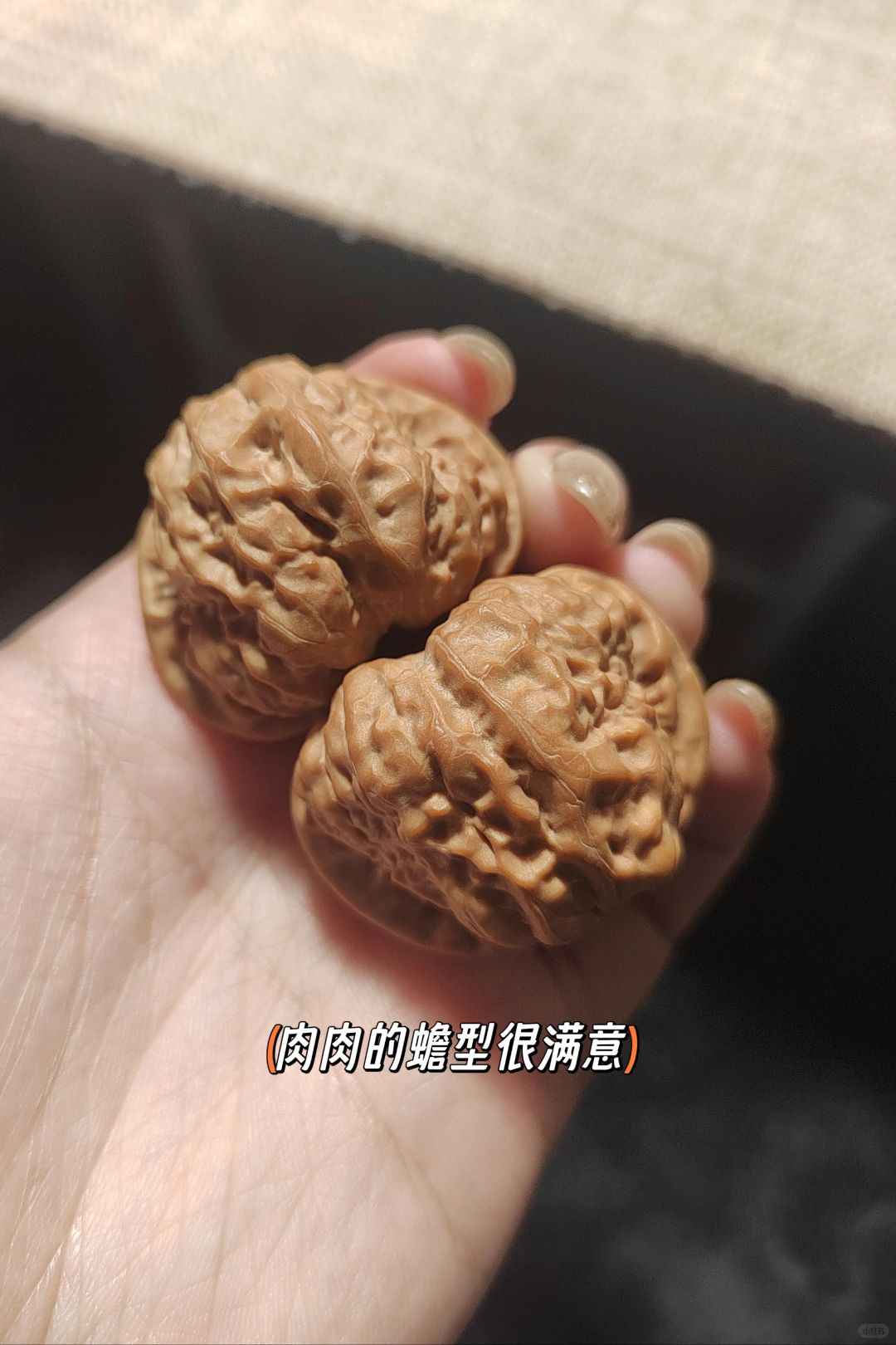 「记录·蛤蟆头🐸安全下车」