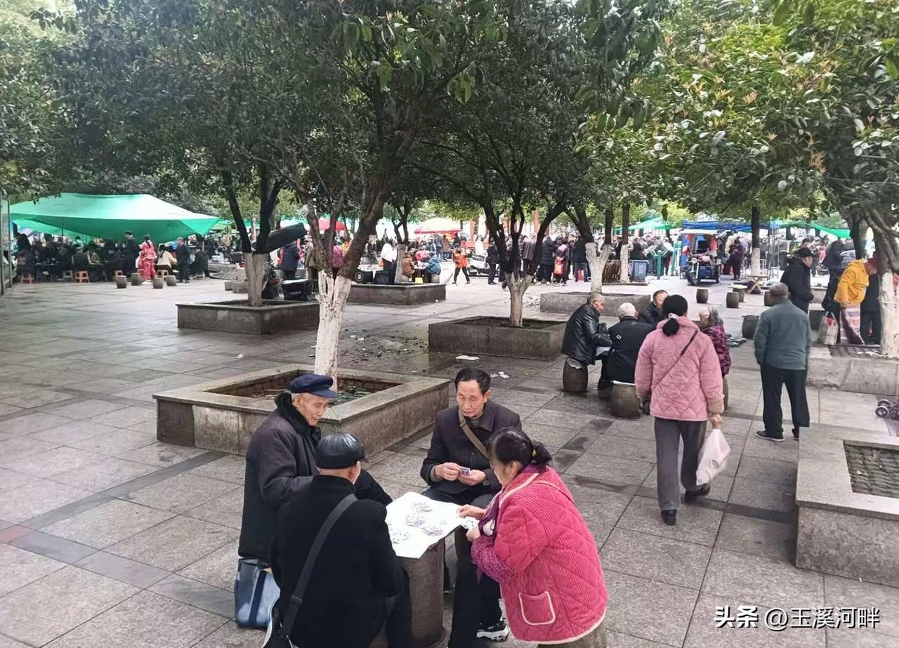 这么多人聚集在这里，一个原因是这个小花园位于市中心，四面八方的人来这里很方便。另