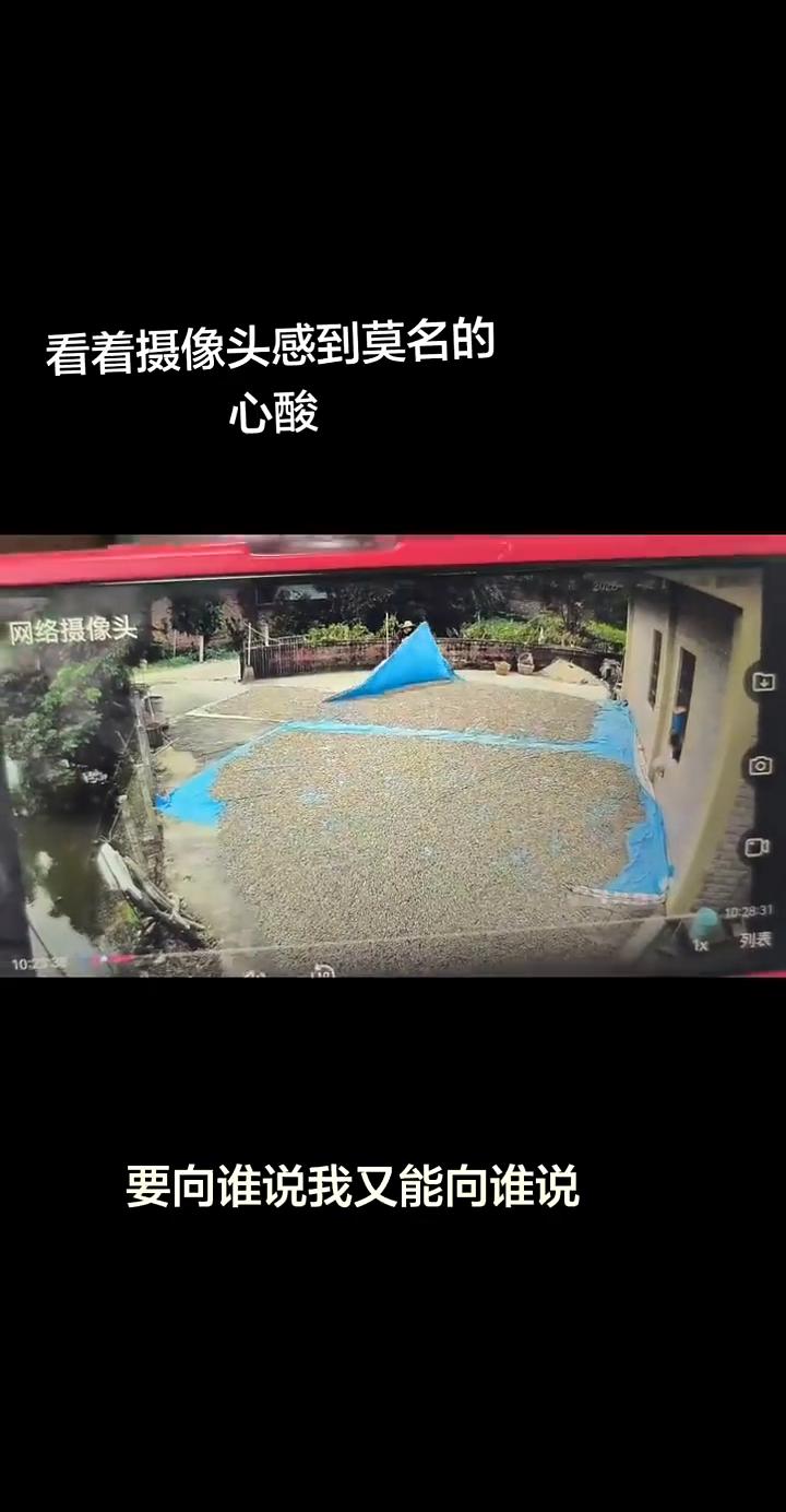 看着摄像头感到莫名的心酸。
天空又点燃了许愿的烟火，恋人们在欢呼着重演你我。笑盛