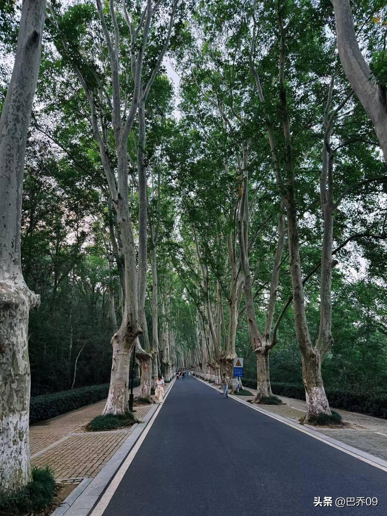 每天跑步10公里值得炫耀吗?
每天10公里，是自律，不是炫耀资本
能长期坚持的人