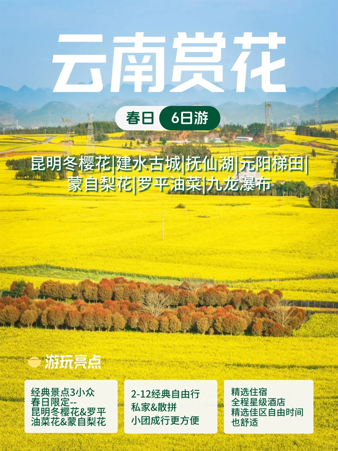 云南春日赏花6日游🏵油菜花冬樱梨花
