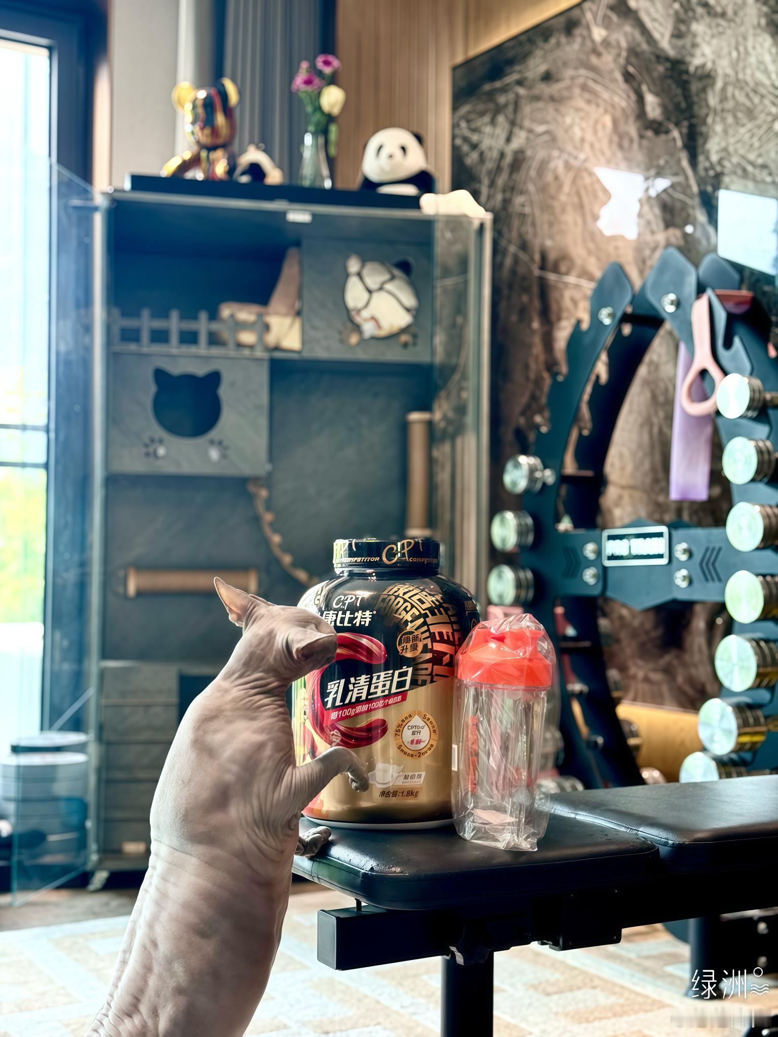 今天的惊喜🎁来自品牌方儿，每次节日都不忘惦记我，靠谱儿！CPT康比特 运动营养