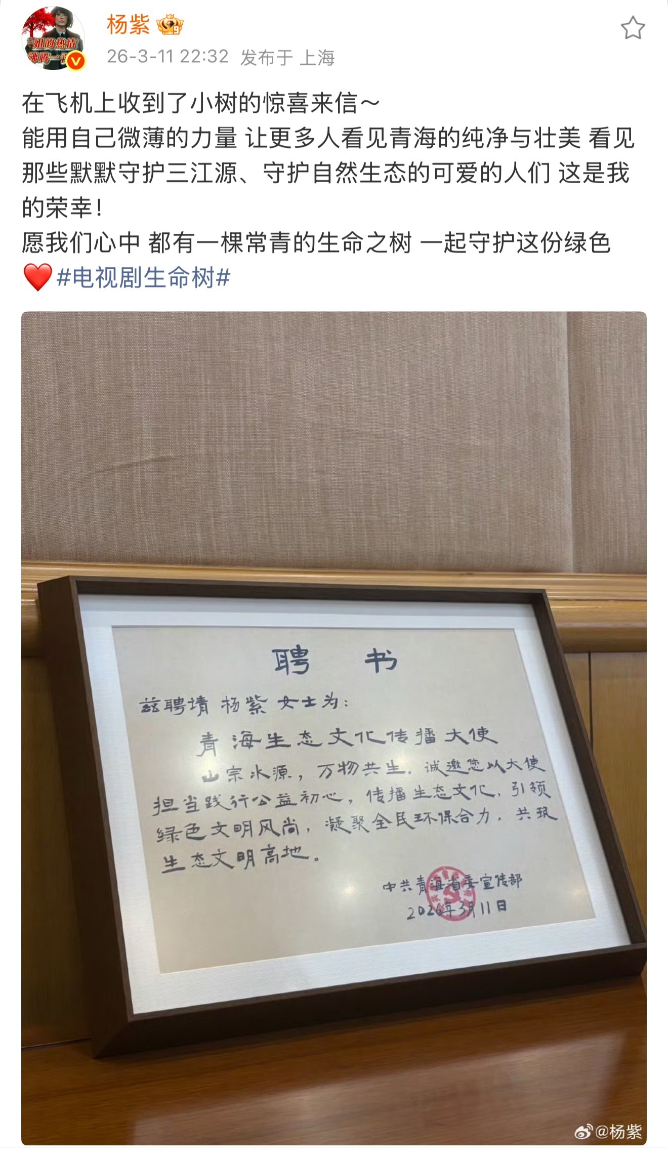 哇！杨紫被聘请为青海生态文化传播大使！杨紫被聘请为青海生态文化传播大使杨紫 青海