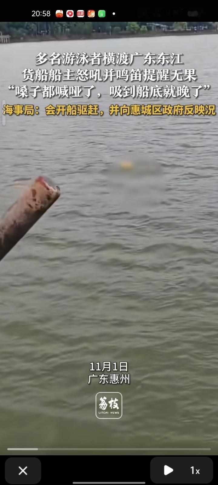 11月1日，广东惠州。多位游泳者横渡东江，大桥处有货船要过桥，货船船主怒吼并鸣笛