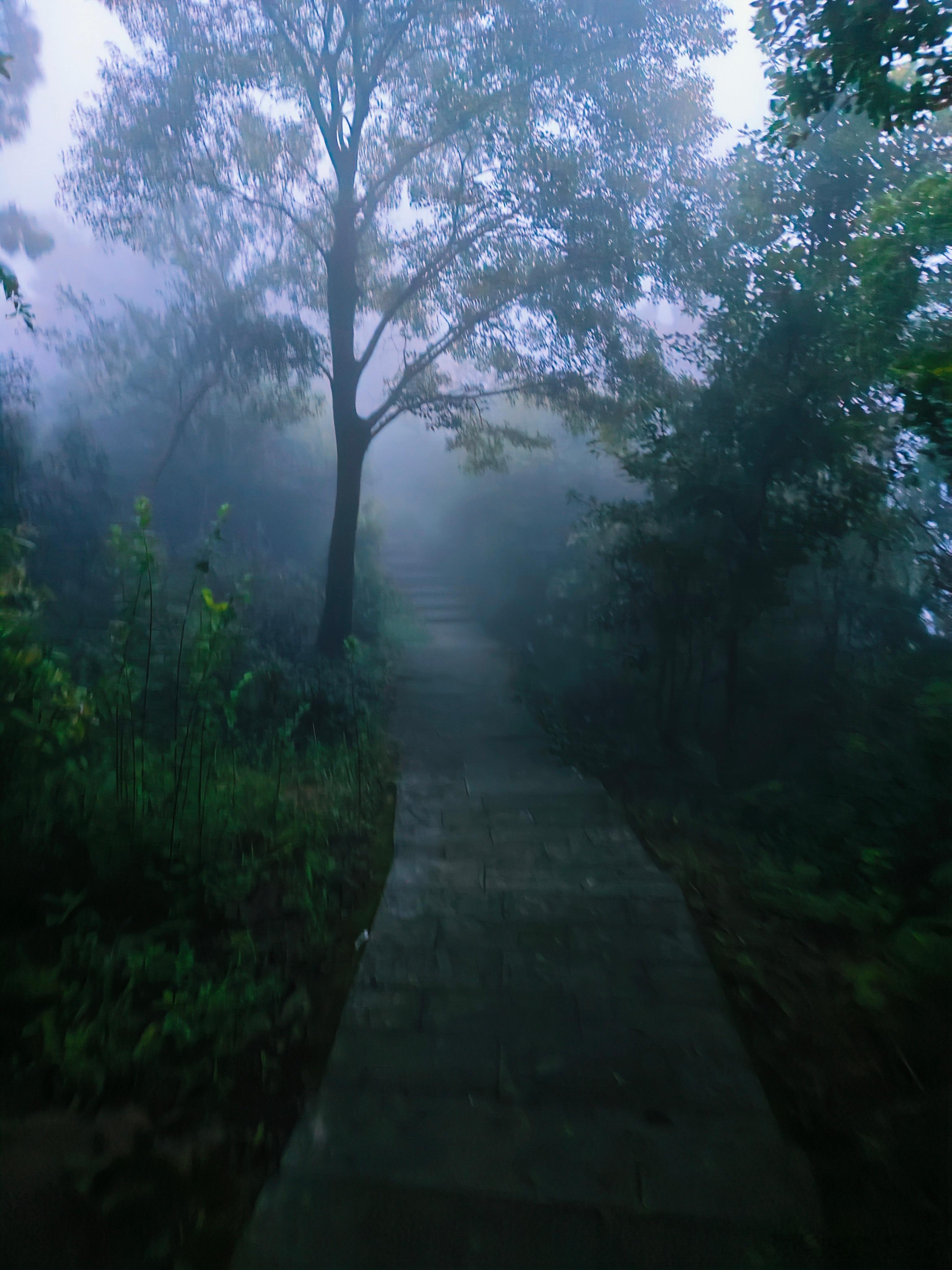 跑步[超话]相看两不厌，只有敬亭山跑步即刻开跑 忘记掐表了开车回去的5公里也算上