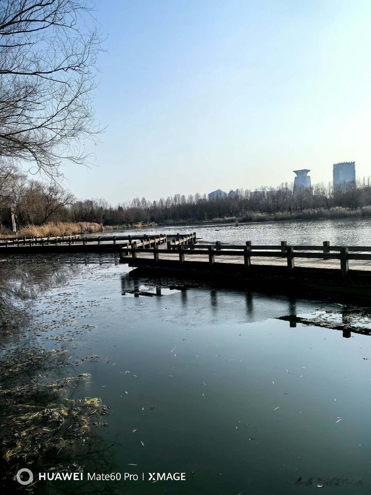 如果你的前半生过得太累，那接下来一定要重新洗牌

我们往往没有把握好自己，把太多