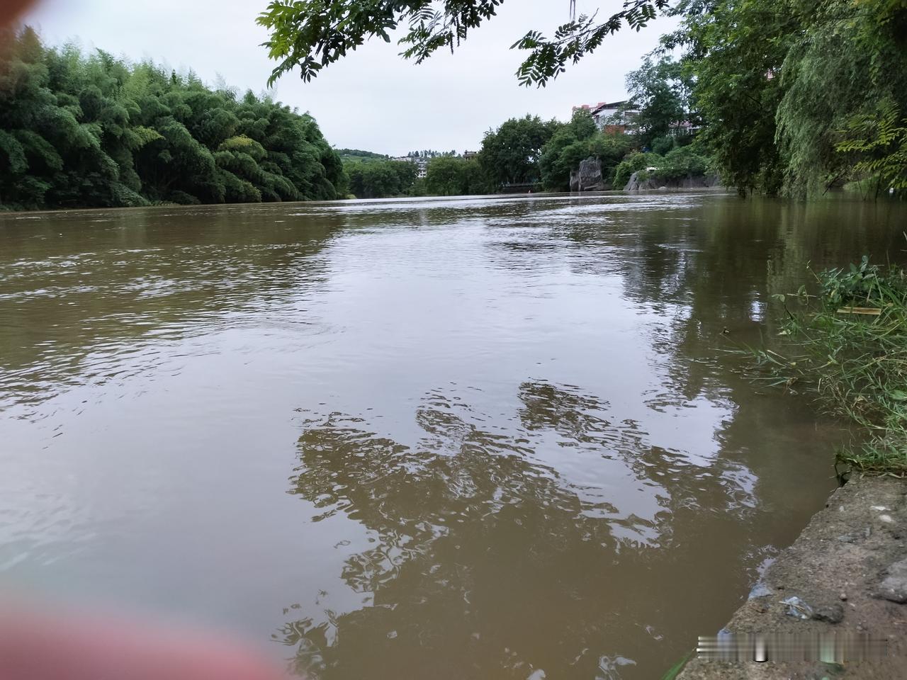 今天是6月8日，这几日气温高达37度。昨日傍晚一场大雨，气温陡然下降，人们都得穿