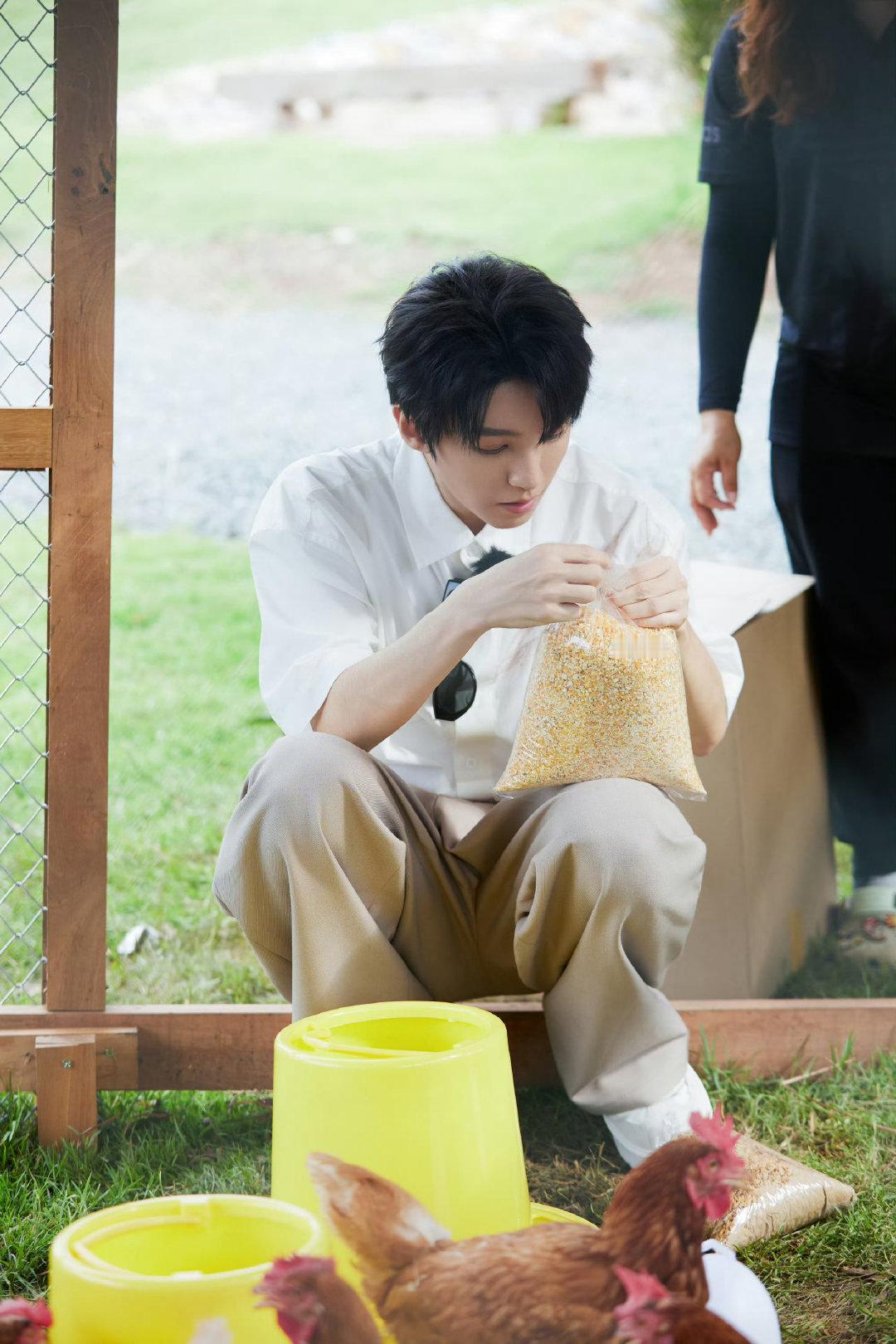中餐厅10热度恭喜《中餐厅10》再创收视佳绩！VIP上线不足23小时播放量破亿，