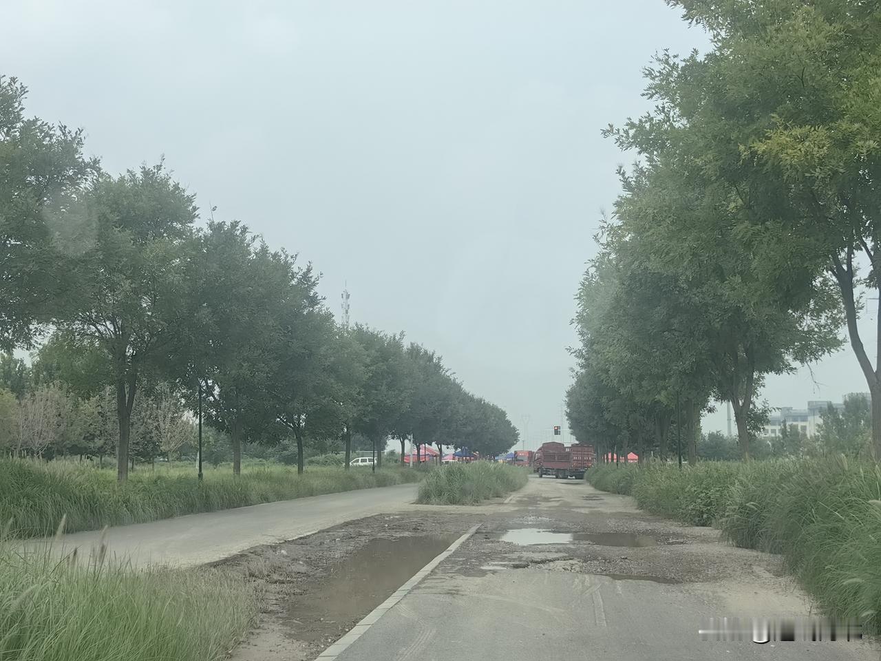 石家庄文正大街一处路面通行受影响】8月21日上午，在石家庄文正大街与河北大道交叉