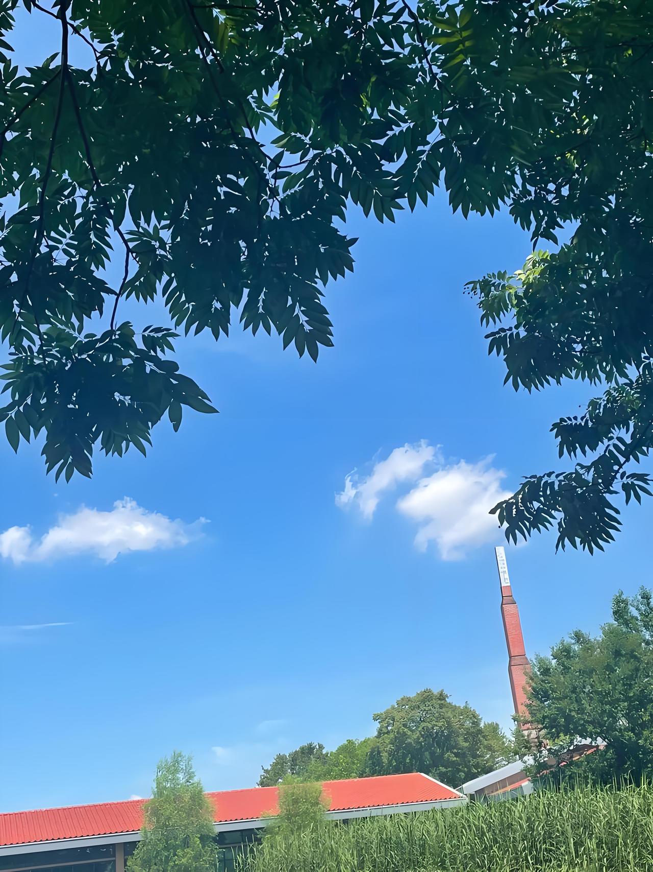 发现了吗？
今年五月的天气，
真的古怪到没边了！
 
都已经五月初了，
本该是稳