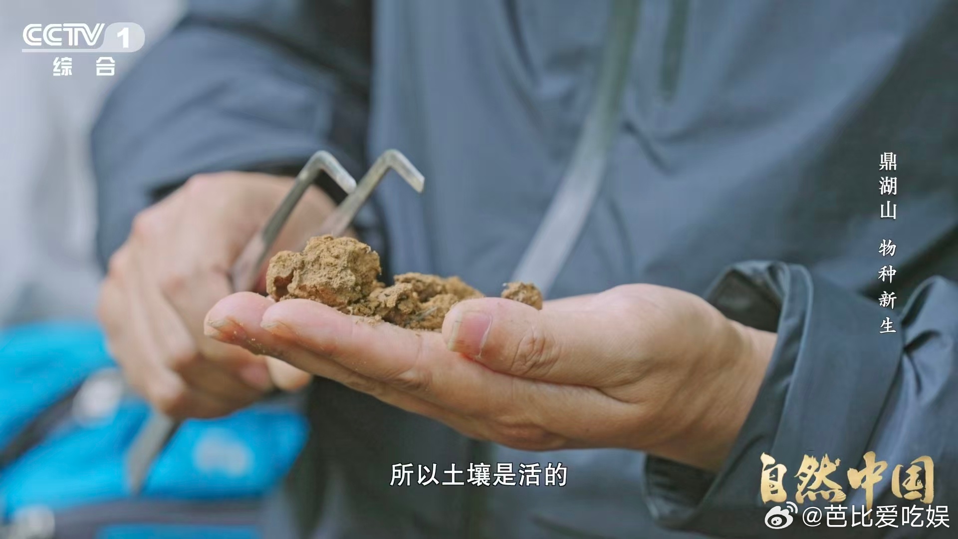 土壤的土腥味从何而来 下次闻到雨后泥土清香就懂啦🤔这股独特味道不是普通气息，是