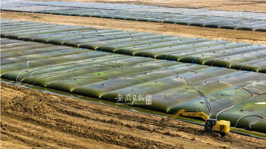 【在巢湖湖底"挖呀挖"！2026年清淤200万立方米】9月5日，环巢湖大道肥西段