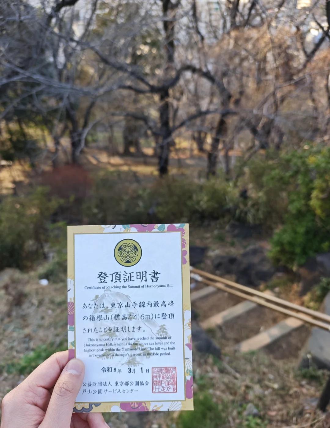 临时起意！登顶4460cm山手线内最高峰
临时起意无需任何装备
山顶没有蜜雪冰城