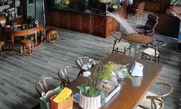 巨型鱼缸深夜爆裂，30万名贵龙鱼一夜变成“天价鱼头汤”。

很多人喜欢养鱼解压，