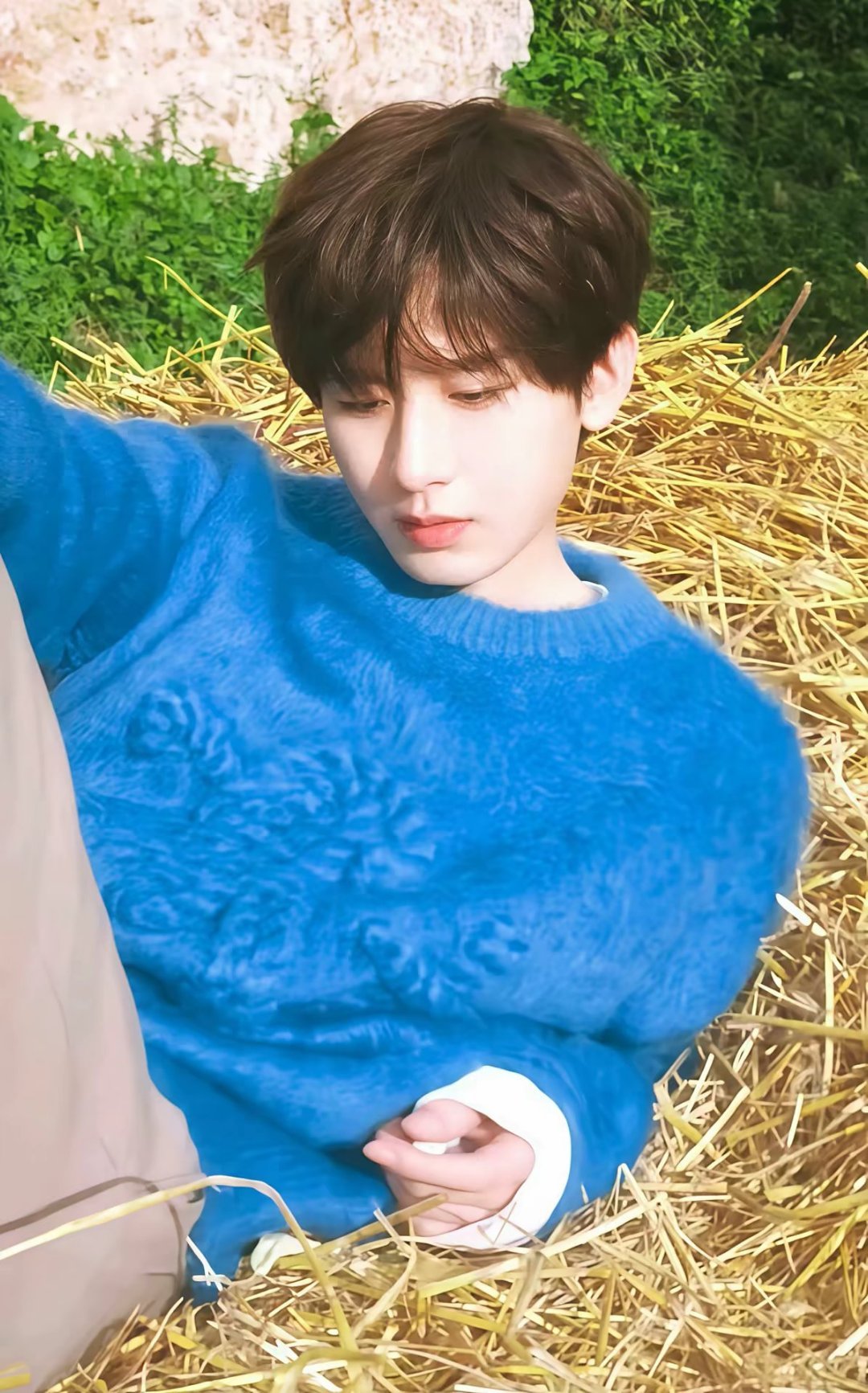 成毅长安二十四计cy成毅谢淮安“待凛冬离去 雪融草青 相信会有新的相逢将温暖延续