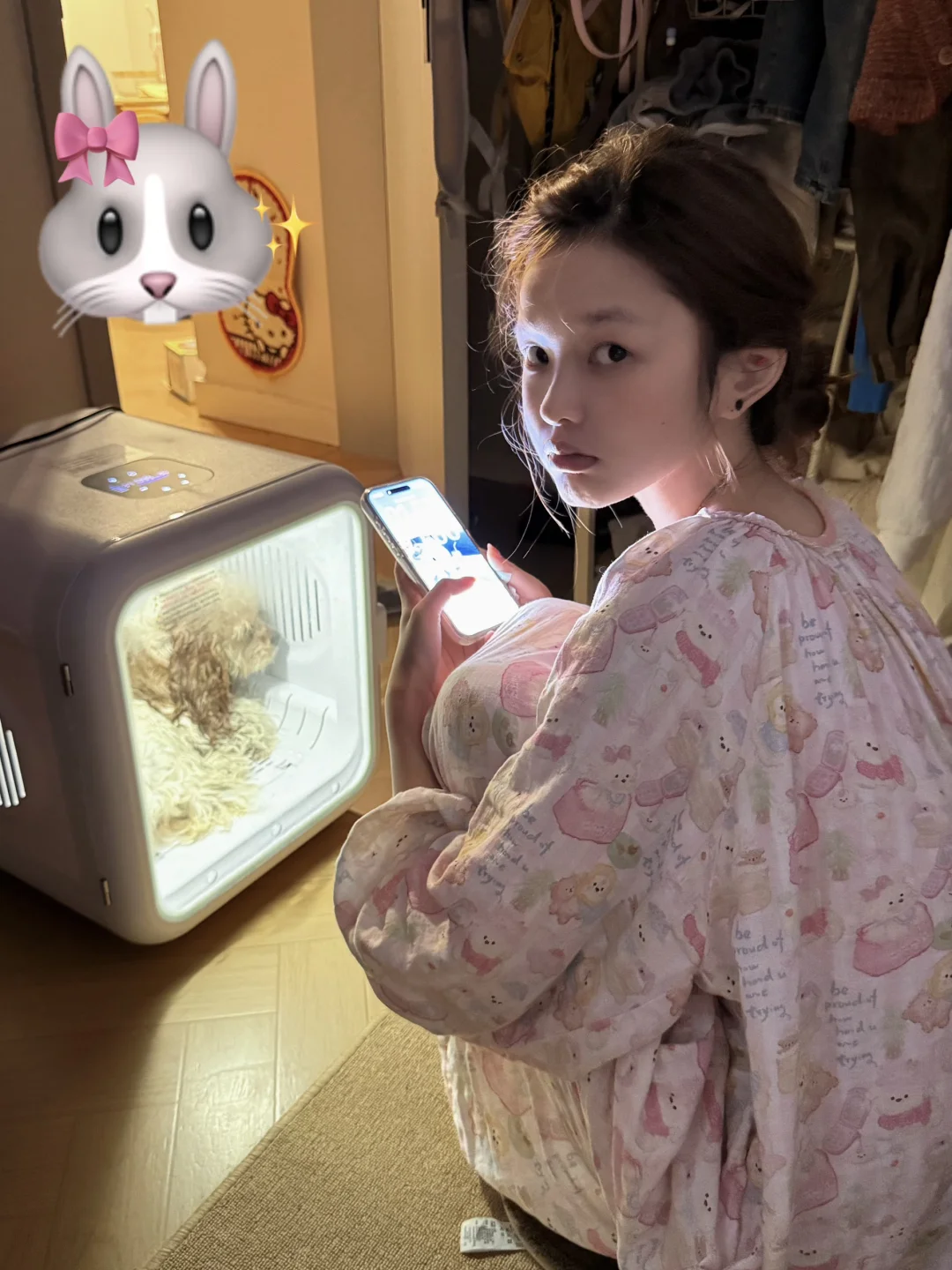 有分离焦虑的小狗