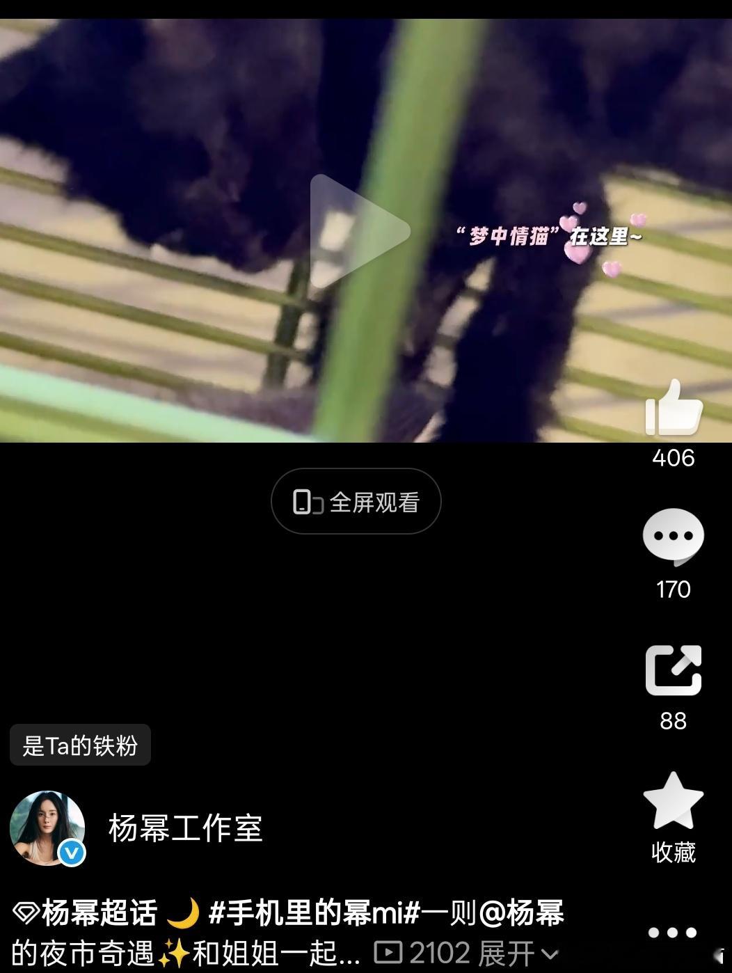 早就说了，杨幂就爱黑猫