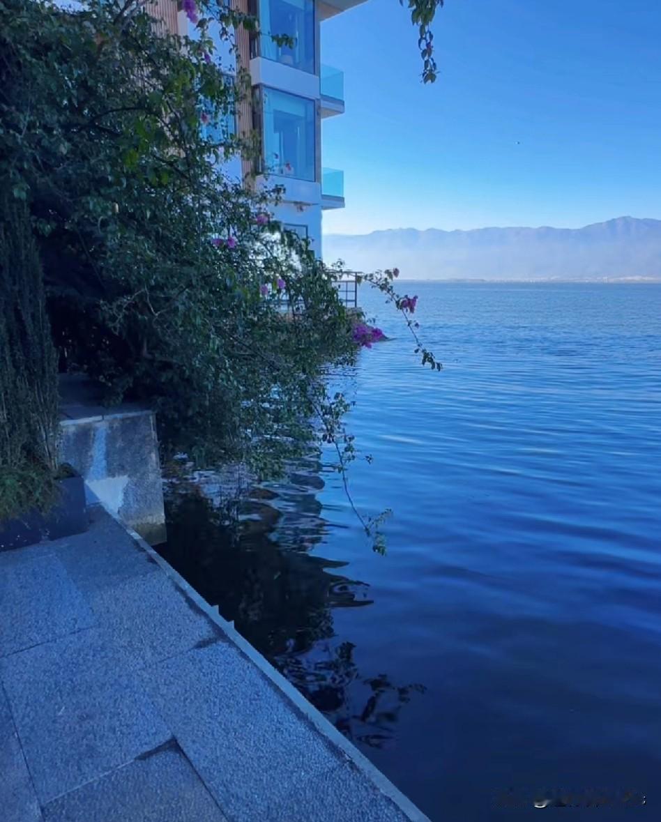 这是哪里如此恬静？