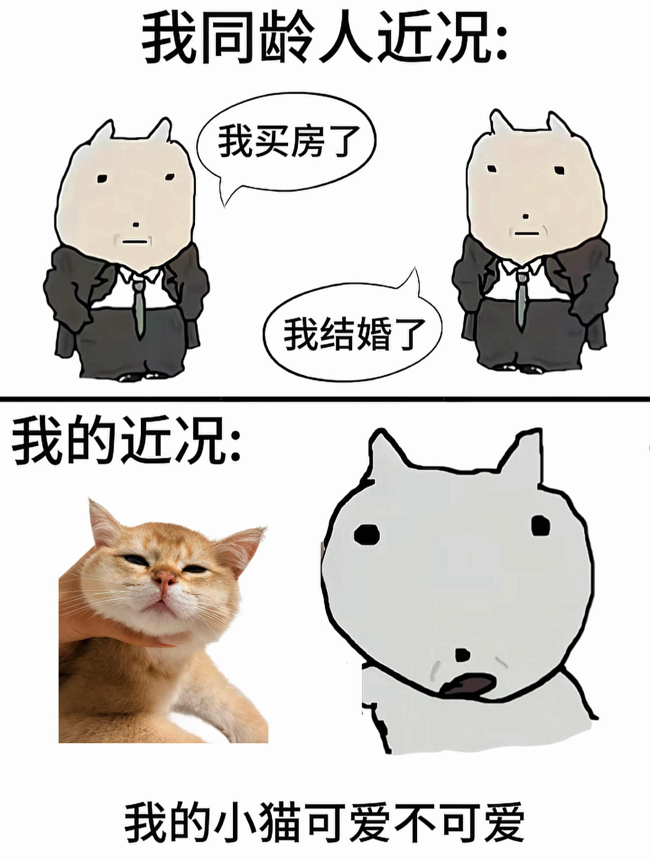 分享图片 