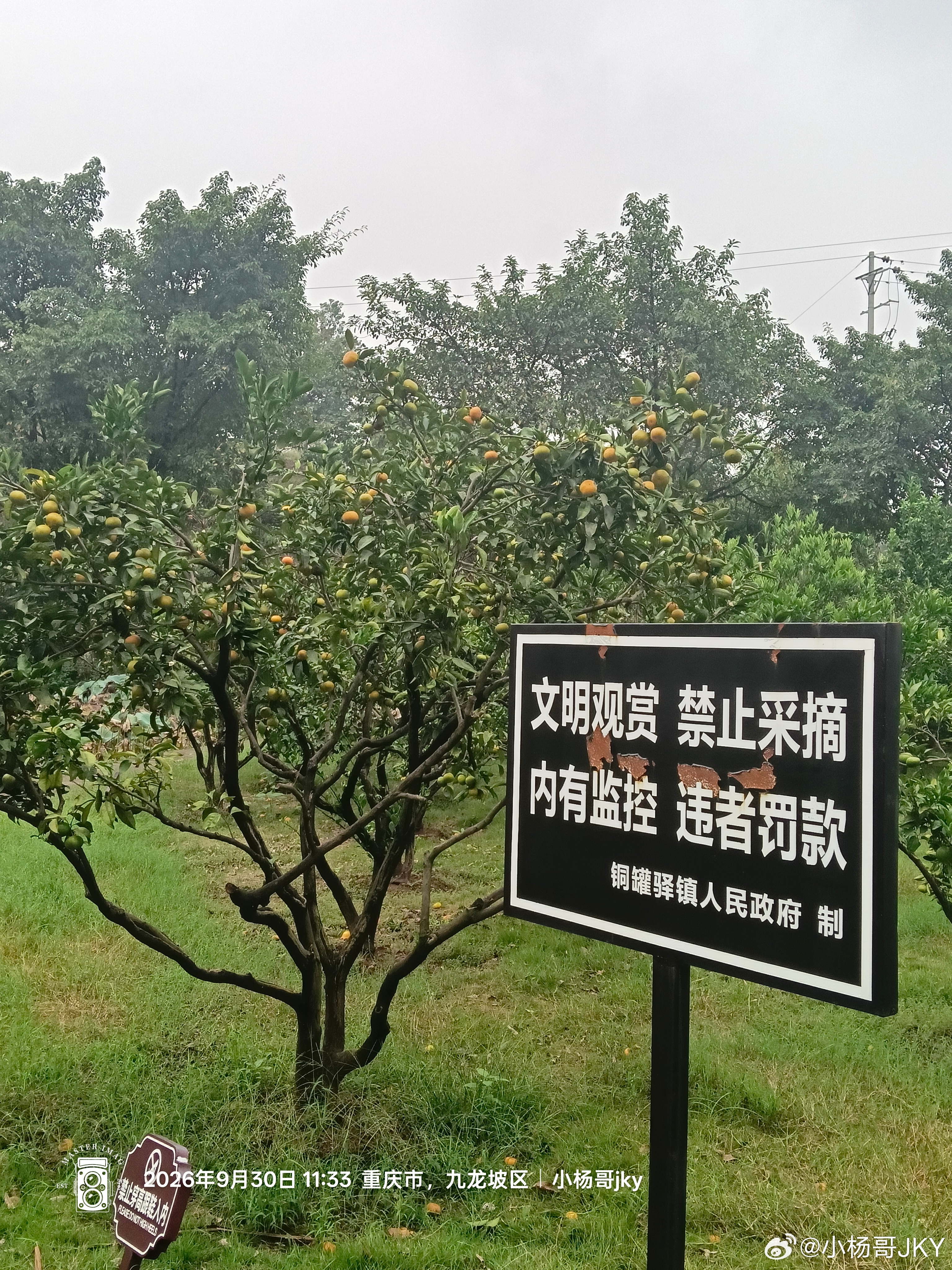 闪现铜罐驿周贡植故居重庆文物小杨哥随手拍小杨哥jky小杨哥jky[超话]重庆旅游