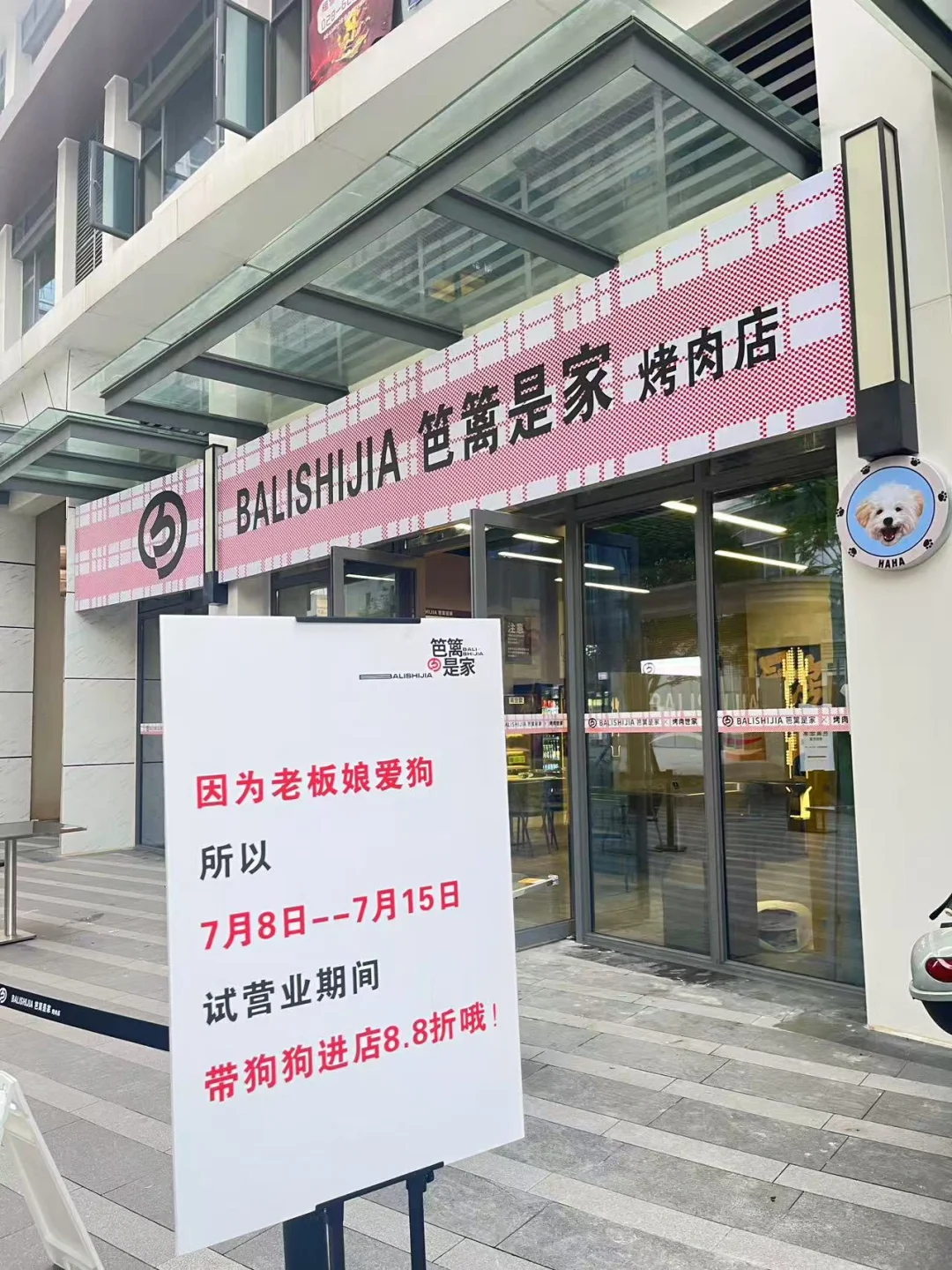 Wk！成都！！对宠物包容度这么高吗？？？？