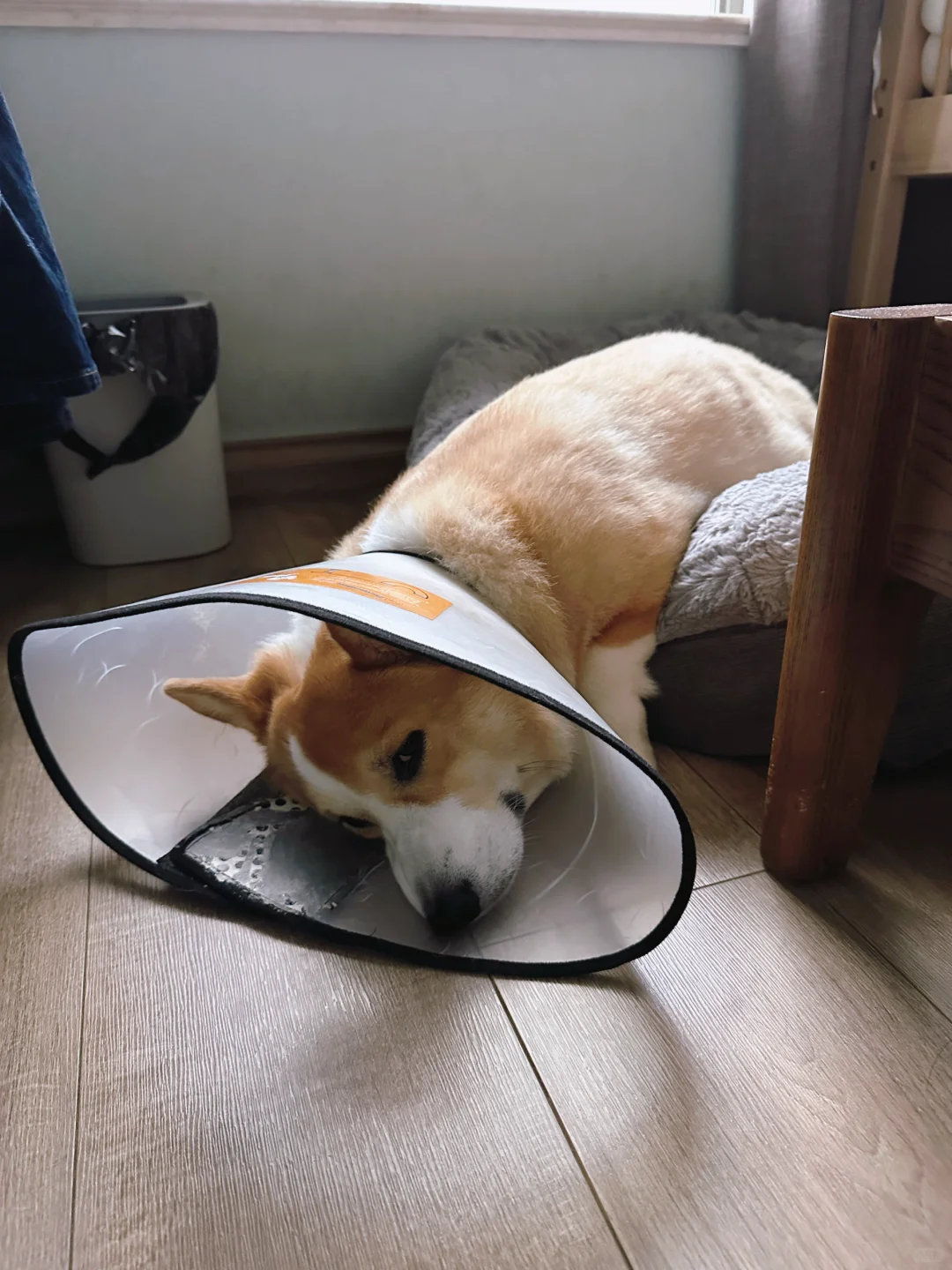 这个睡姿起到了什么作用呢