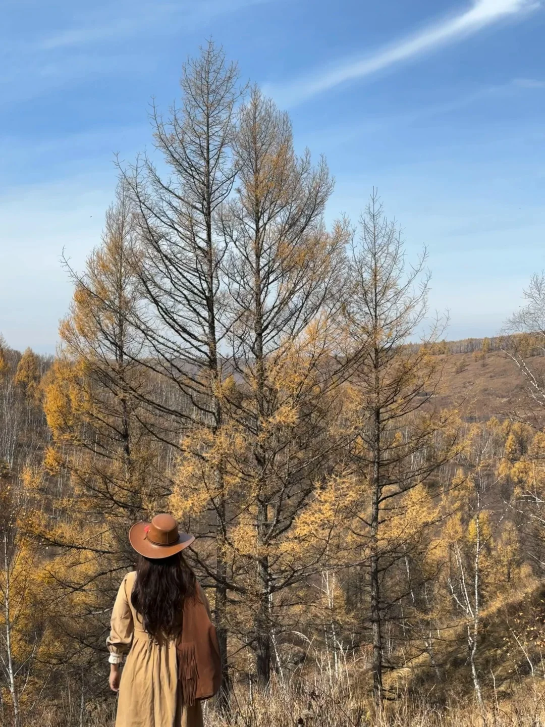 阿尔山这条小众原生态徒步路线绝了❗️