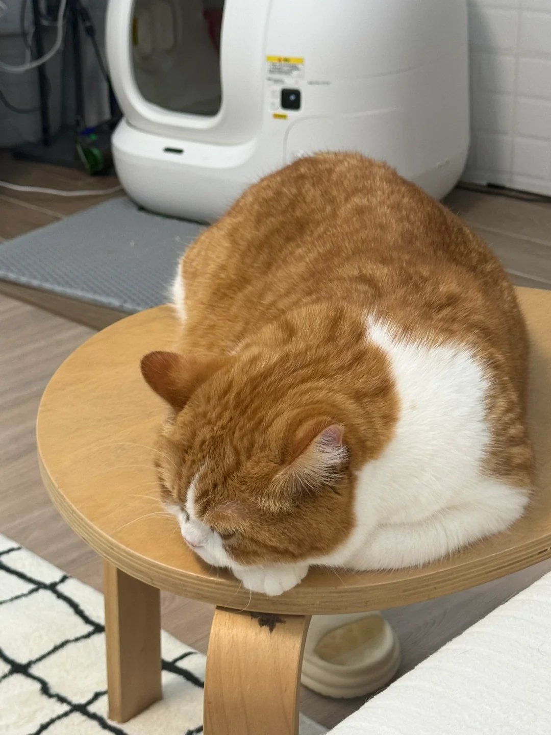 不给零食 生气了