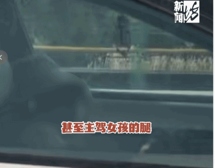 看着都吓人！五月四号，一位张先生在高速上开车时往旁边瞥了一眼，就这一眼，让他心一