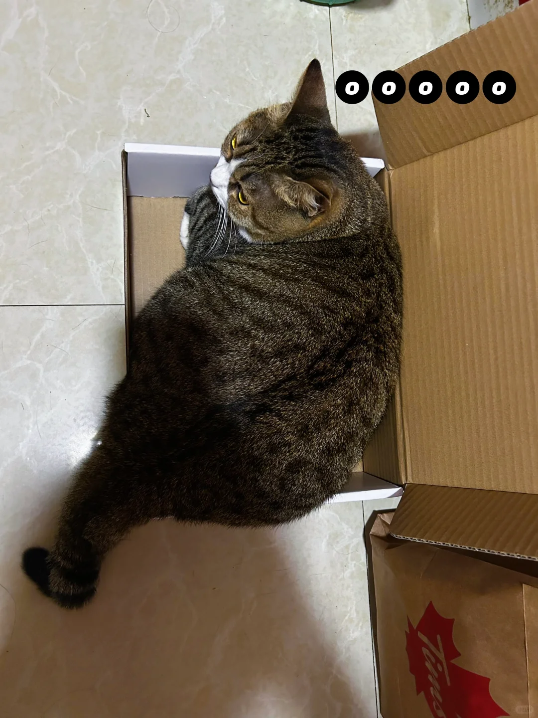 孩子，咱不用硬挤…