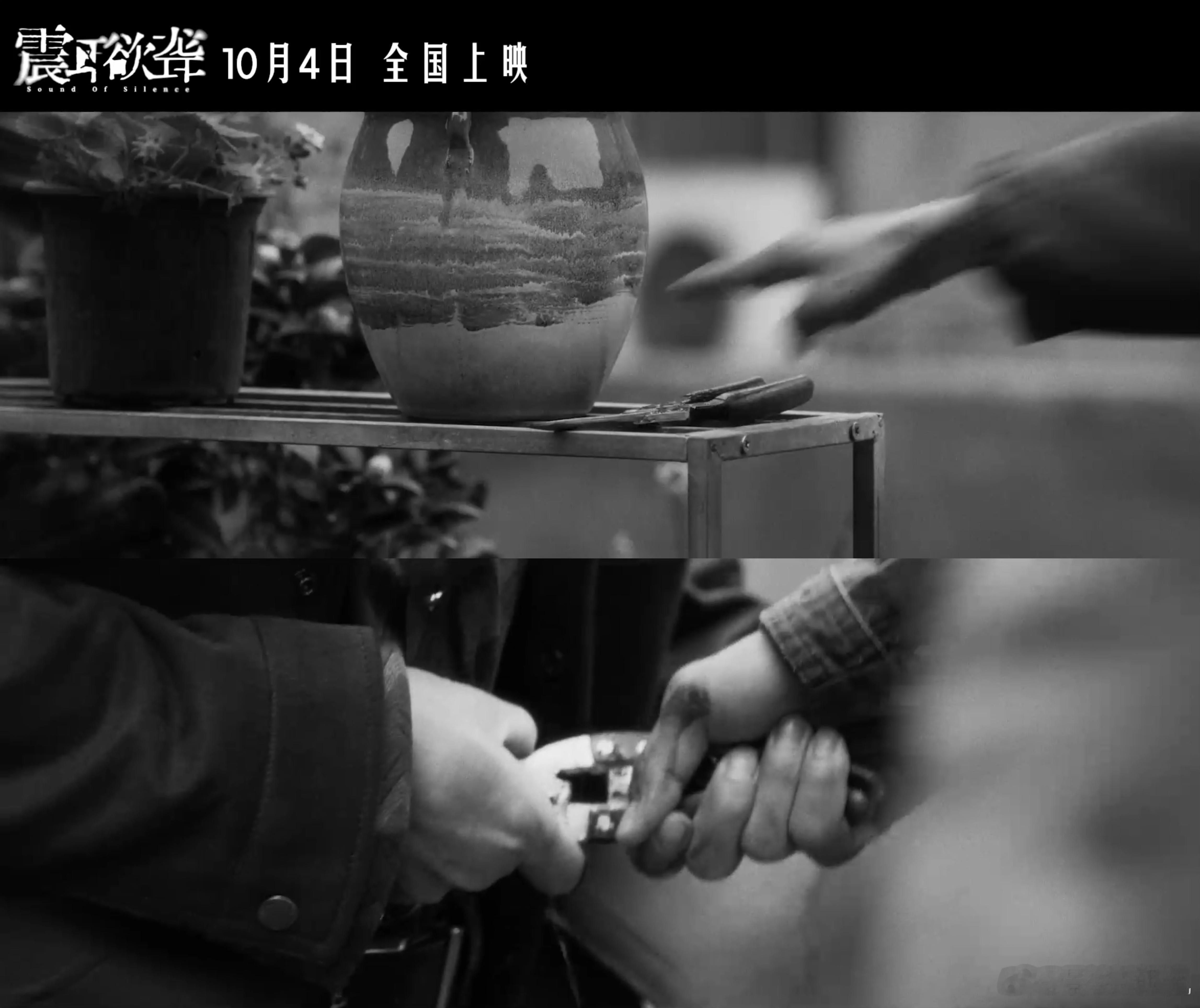 震耳欲聋揭露聋人定制骗局 电影《震耳欲聋》将揭露聋人定制骗局的真相，骗子的阴谋让