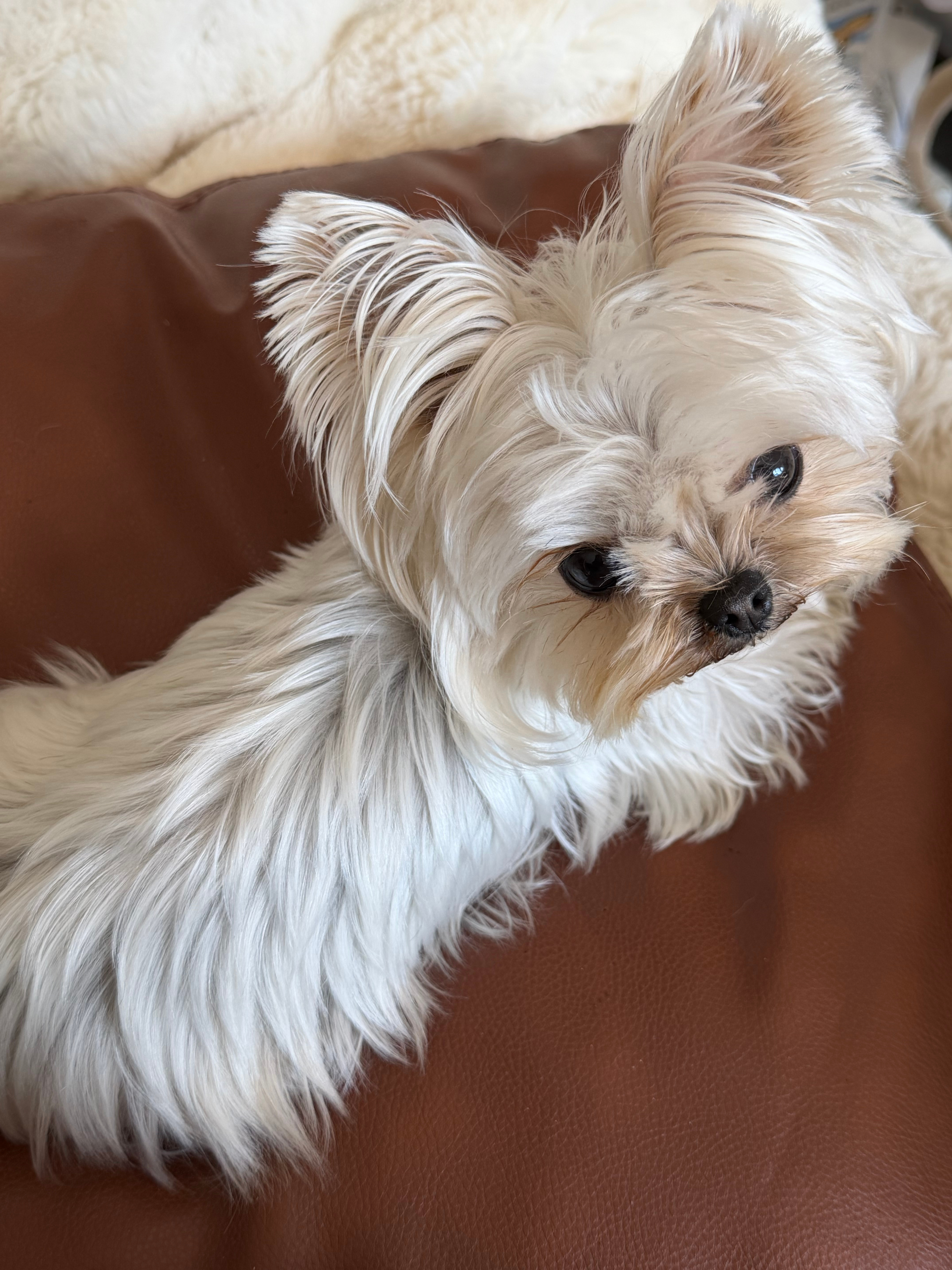 任何人都不希望你风生水起 所以该做的 也没必要跟任何人讲 人类的悲欢并不相通 低