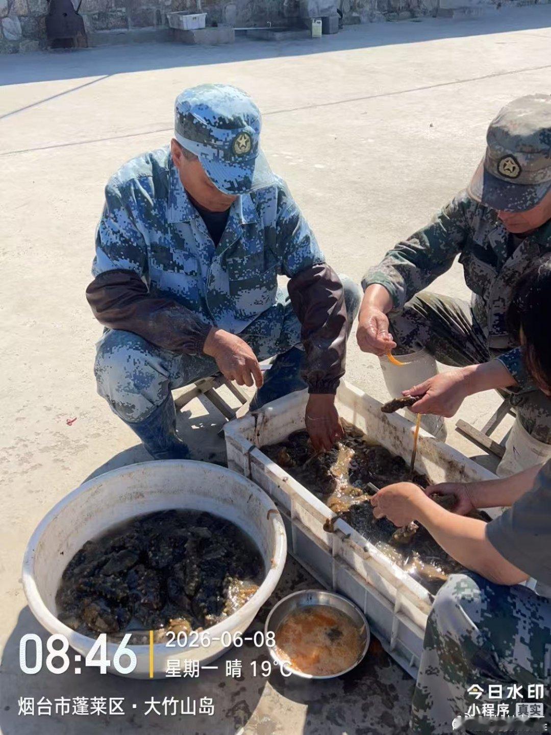 在渤海深处的荒岛大竹山四周海域寻找捕捞天然繁殖的野生海参的李润土学会了图片打卡 