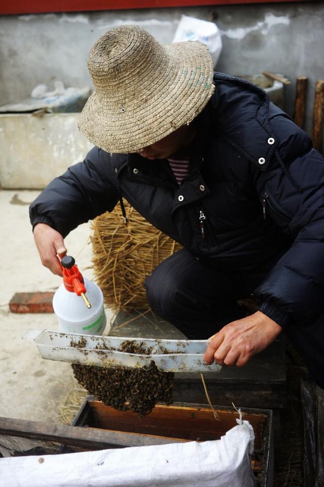 养蜂杀螨，贵在分寸——
 
养蜂一事，看似简单，实则处处藏着学问，就说给蜂群杀螨