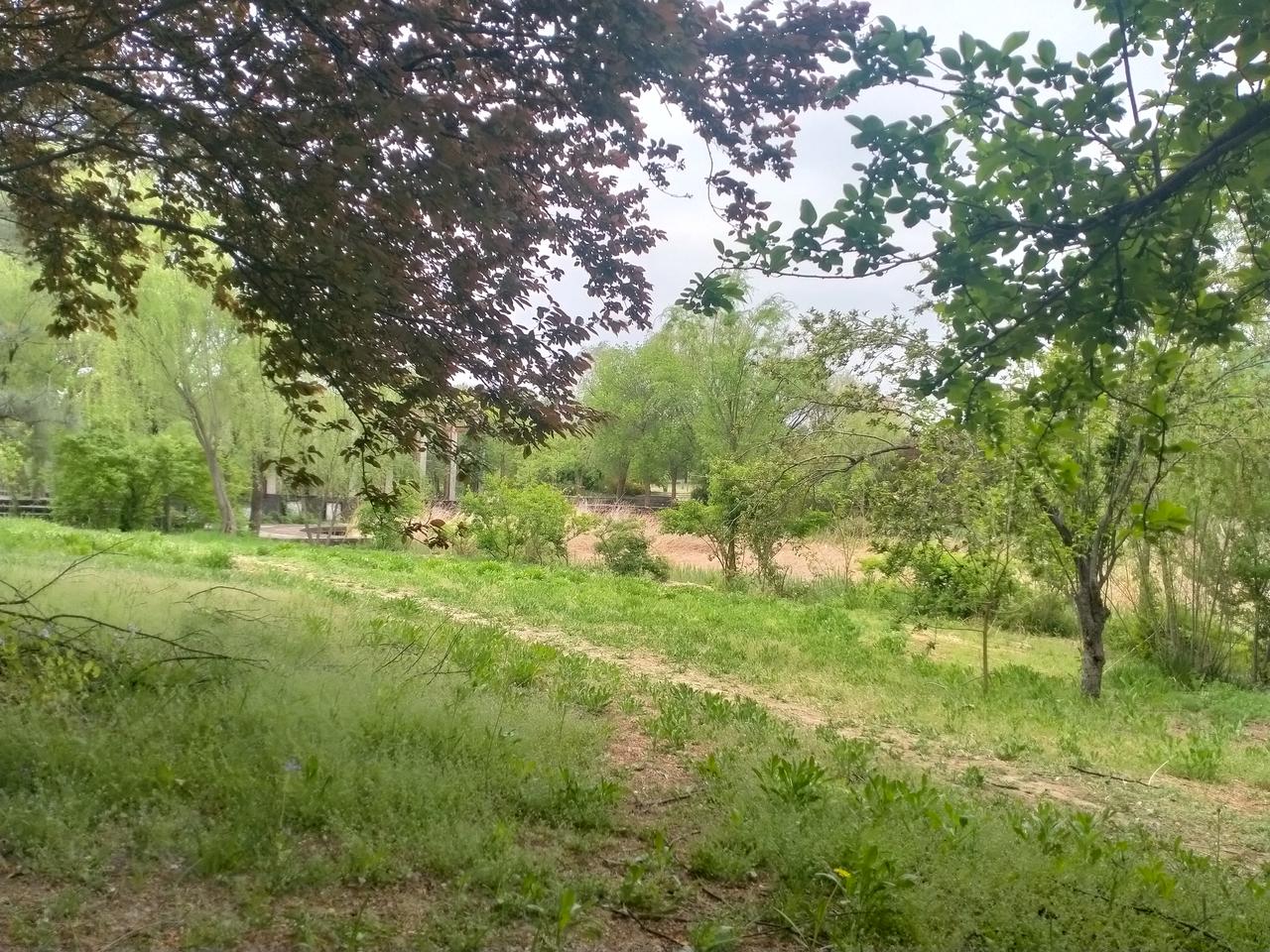 每日一图随手拍