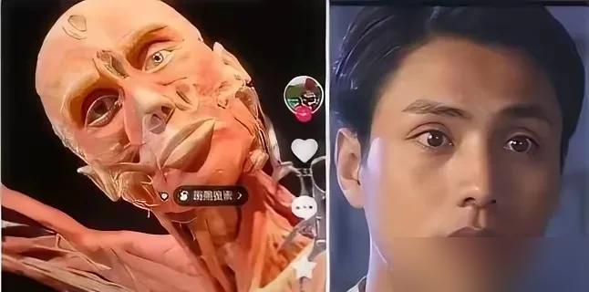 别再骂陈坤脸肿了，50岁跟谢霆锋同框被公开处刑，你真以为是医美翻车？
 
人家那