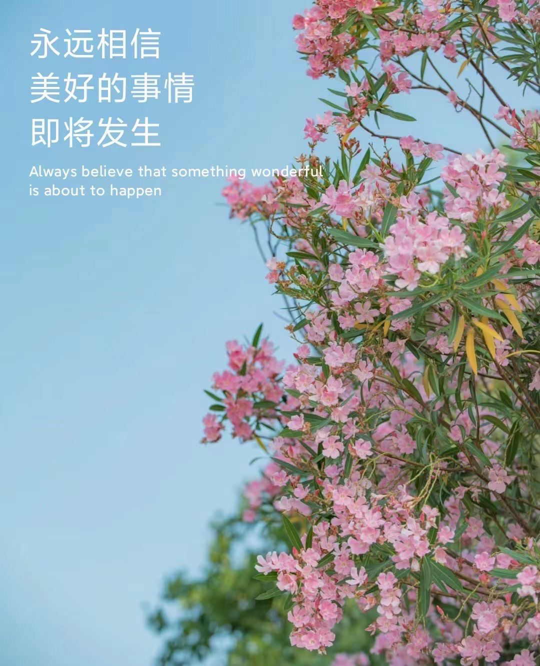 永远相信美好的事情即将发生。 