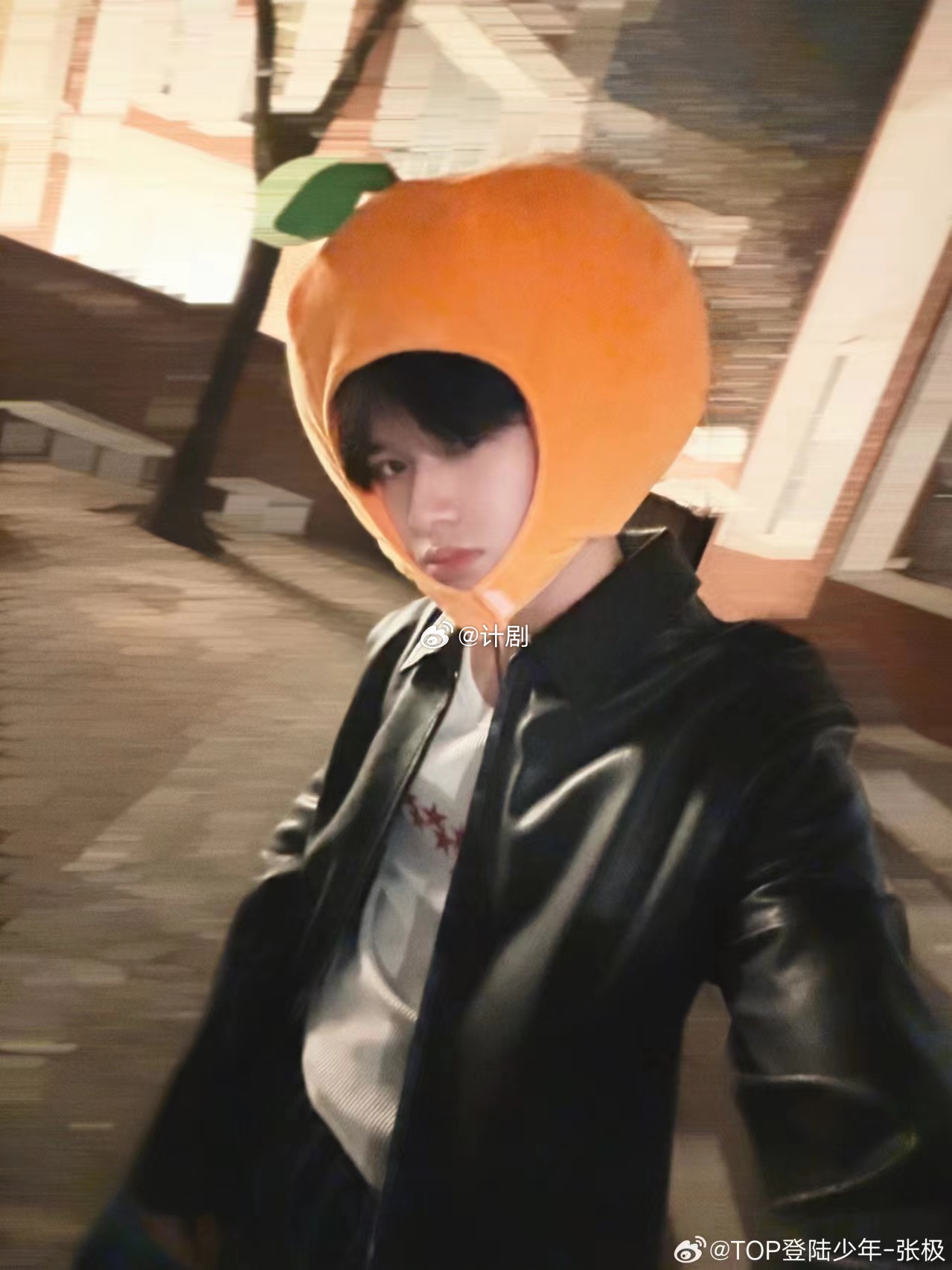 张极橘子头套 张极的橘子头套造型真的好亮眼，人群中一眼就能看到，温暖又治愈的感觉