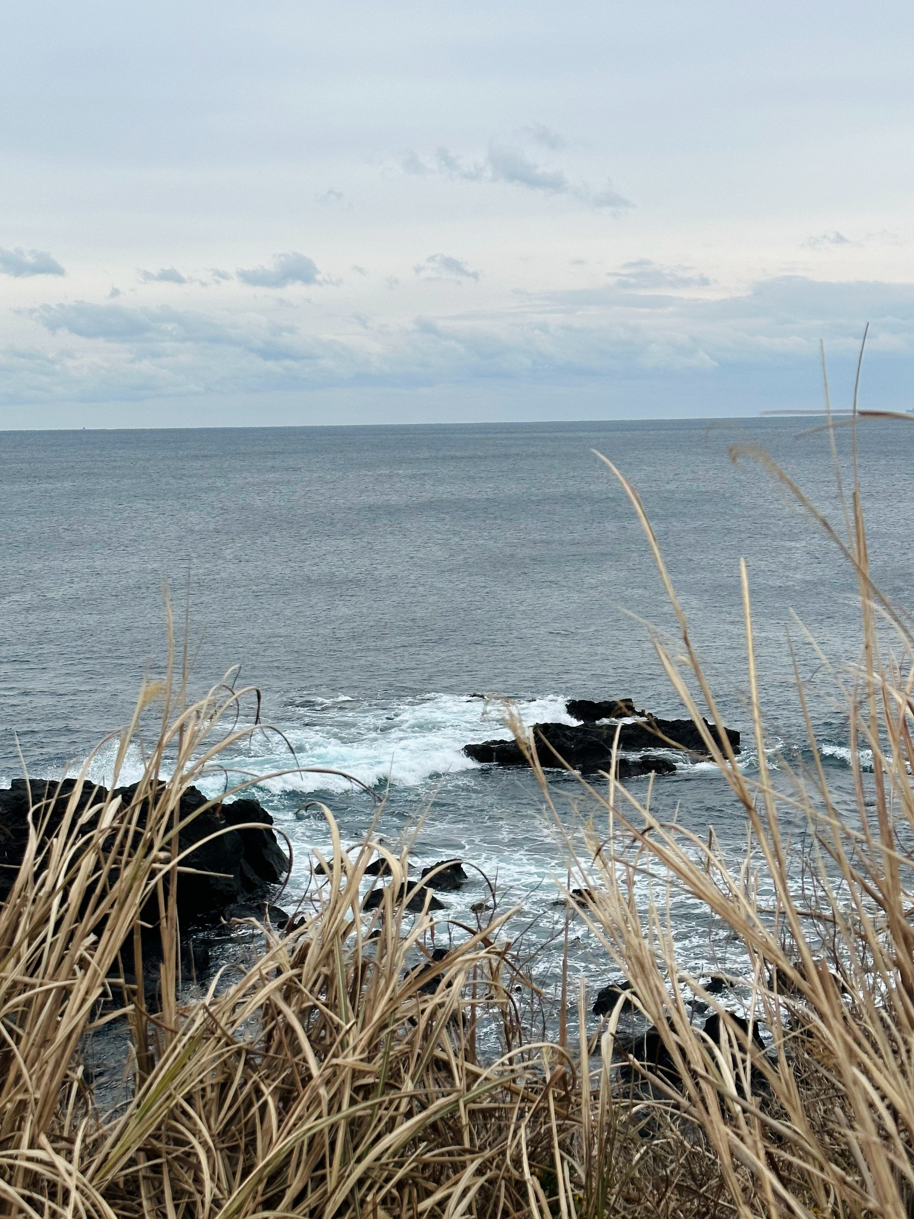 Jeju 涉地可支🌊  人文景观  自然风光 在济州岛的涉地可支，阴天赋予了它