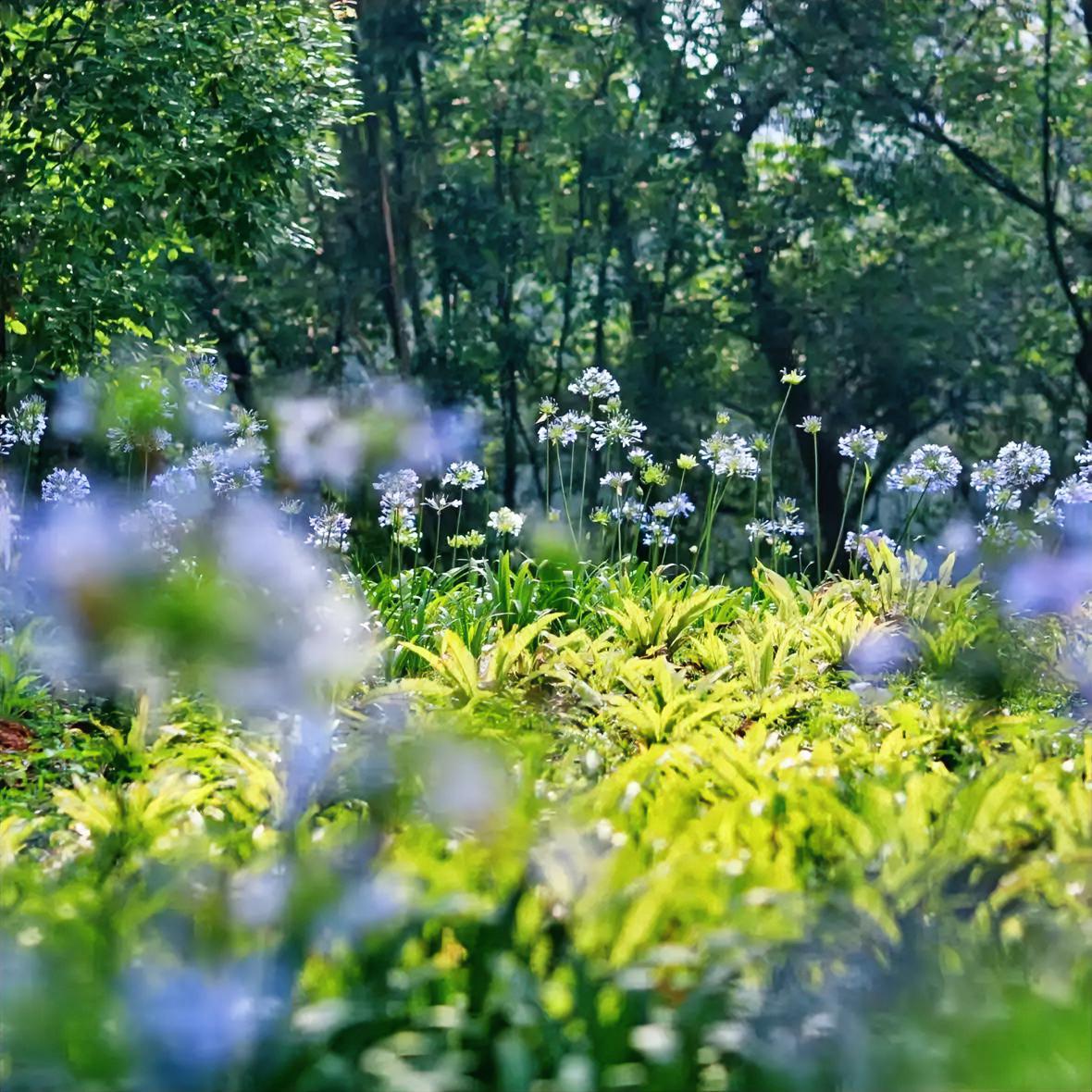 我特别喜欢一句话，温柔却又无比有力量：
不管发生什么事，都请安静且愉快地接受人生