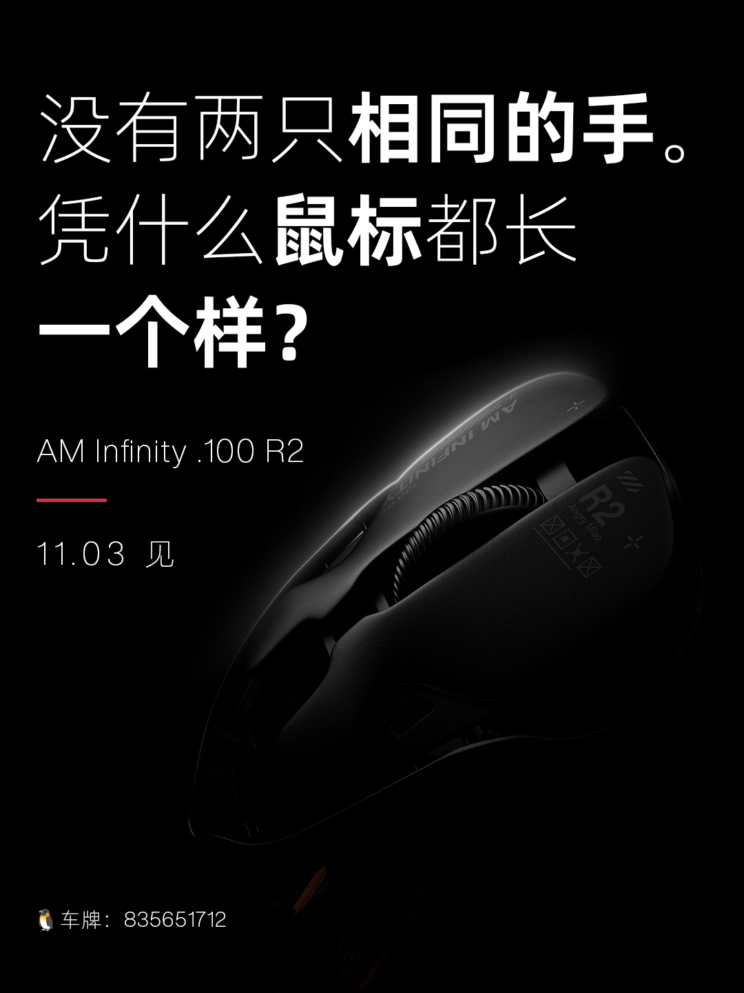 没有两只相同的手，凭什么鼠标都张一个样？AM Infinity .100 R2 