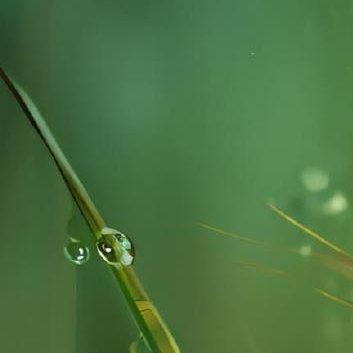 每日一善‎每日一善 ‎阳光‎信用 斗志和干劲很重要，但更重要的，是不断坚持的努力