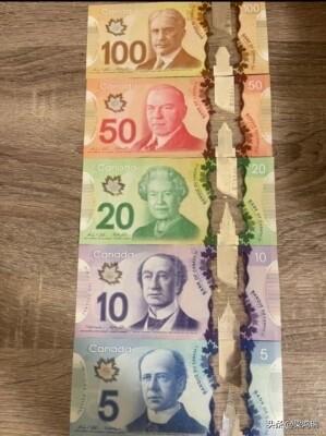 加币的“独门绝技”

它是用聚合物做的，不怕水。

可以放在游泳裤口袋里去游泳；