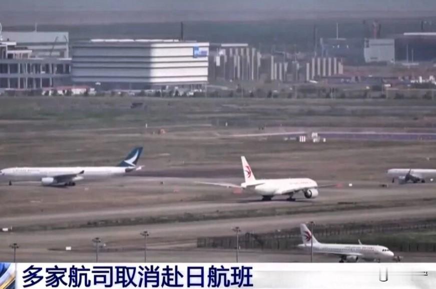 信号越来越明显了，国货东航南航等扎堆发声，直接免费退改机票！50万张赴日机票取消
