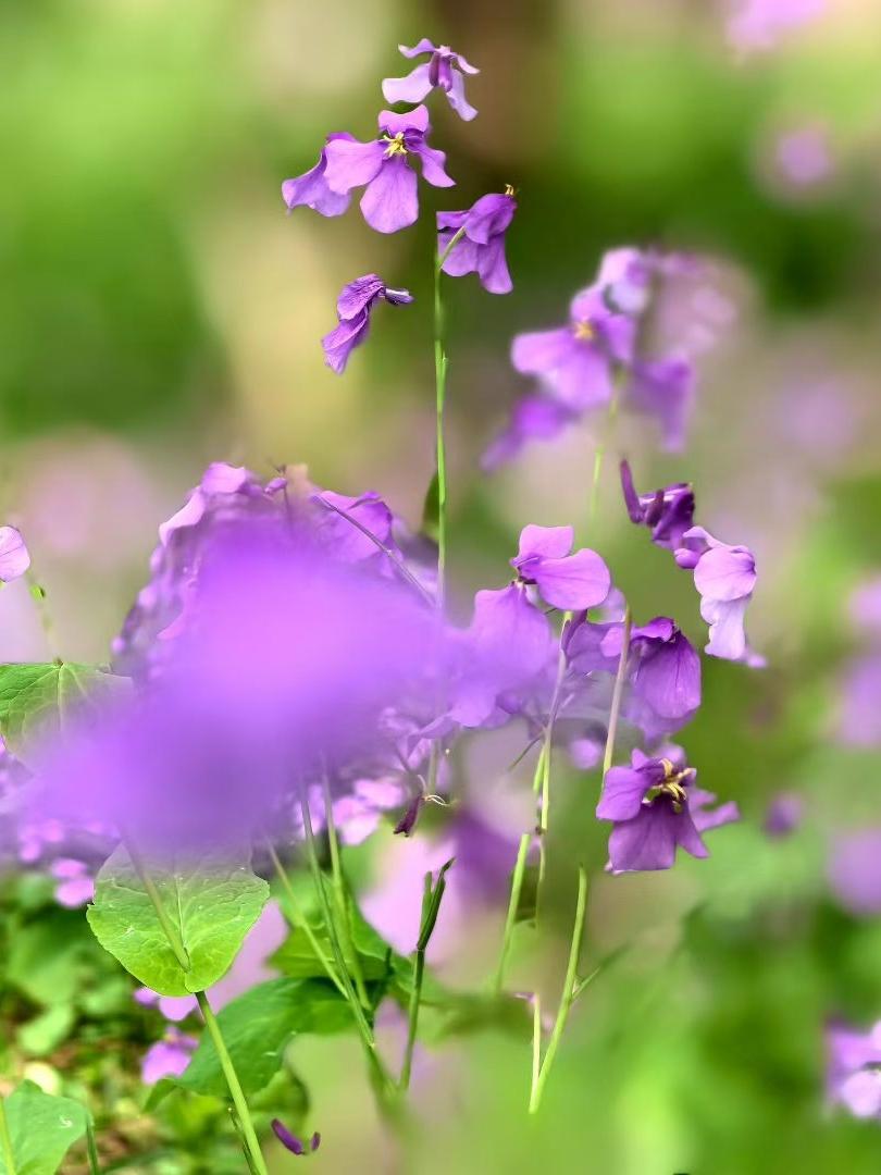 有意义的晚年生活不在于热闹喧嚣，而在于‌内心丰盈和良好的心态！
