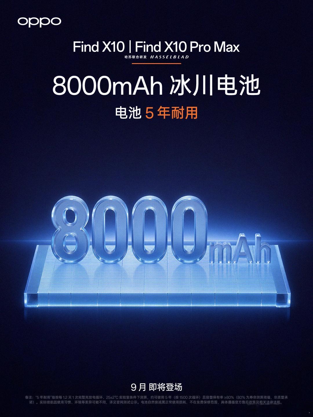 旗舰标准版应该是什么标准虽然今年手机成本大涨，但是旗舰标准版总不能大幅妥协吧，电