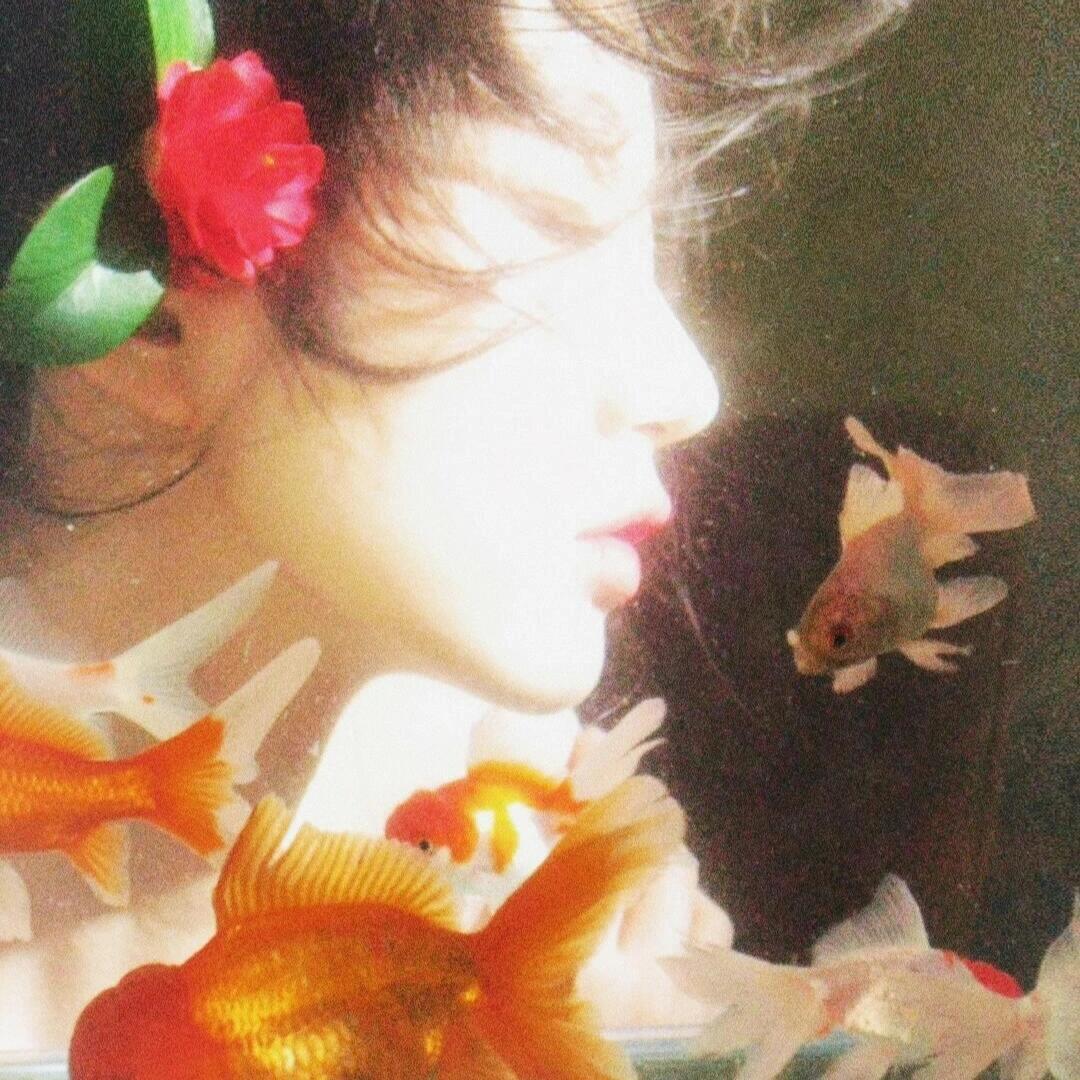 “玫瑰从不慌张” ​​​