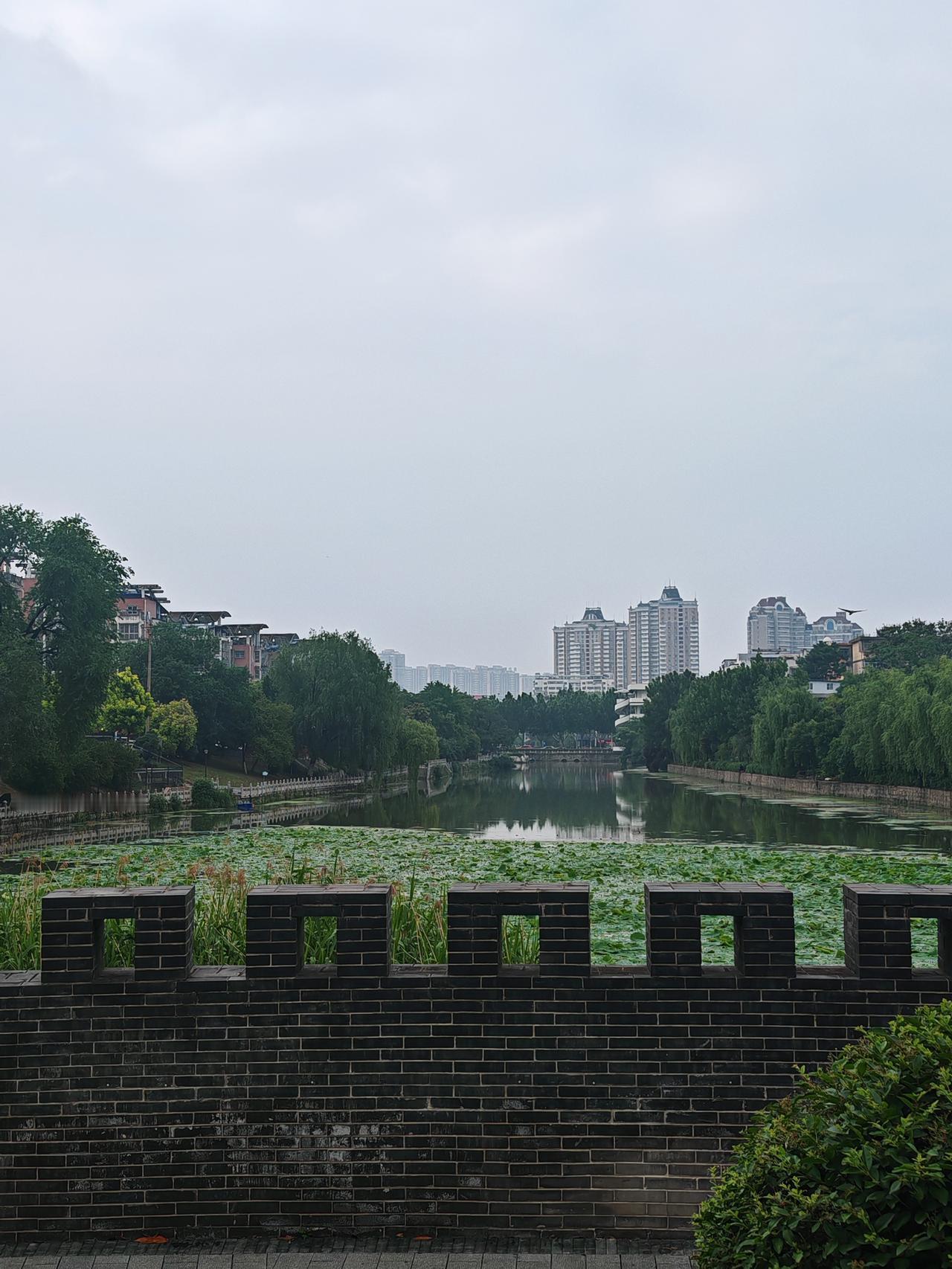 站在东城墙上看烟雨浜水园林，那感觉绝了！想象一下，细密的雨丝飘洒，给园林蒙上一层