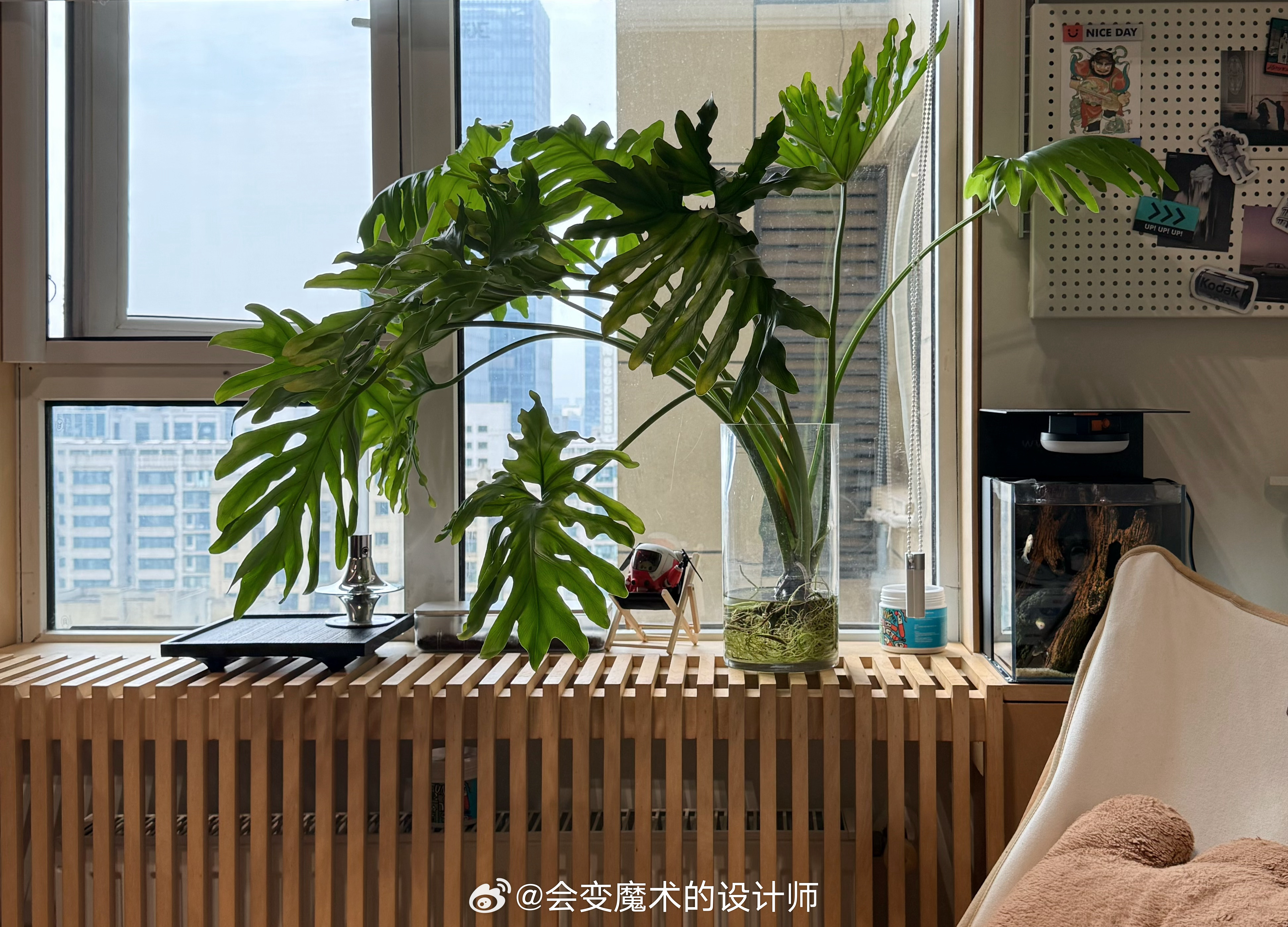 理想工位｜工作如同呼吸，轻松自在，日日欢喜 