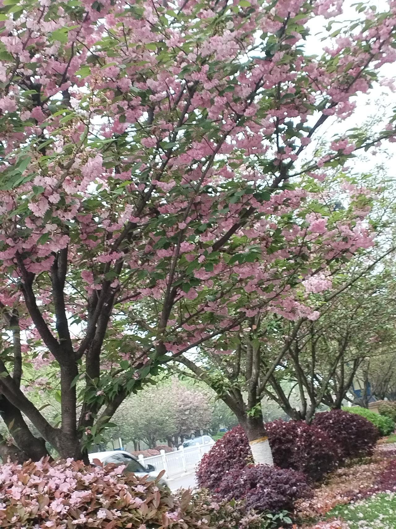 上联是“诗山寻妙句”，我们先来分析一下这句话的结构和意境，然后再写一个对仗工整、